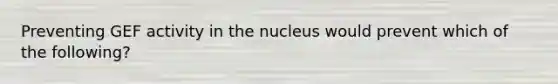 Preventing GEF activity in the nucleus would prevent which of the following?