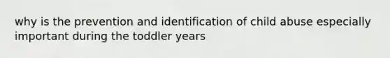 why is the prevention and identification of child abuse especially important during the toddler years