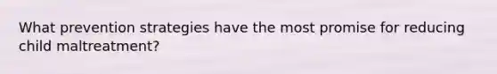 What prevention strategies have the most promise for reducing child maltreatment?