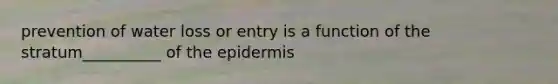 prevention of water loss or entry is a function of the stratum__________ of the epidermis