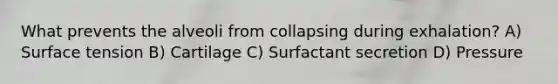 What prevents the alveoli from collapsing during exhalation? A) Surface tension B) Cartilage C) Surfactant secretion D) Pressure