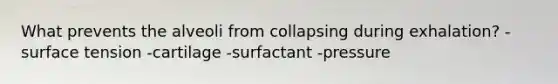 What prevents the alveoli from collapsing during exhalation? -surface tension -cartilage -surfactant -pressure