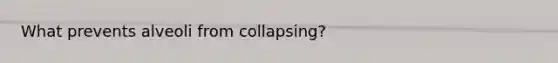 What prevents alveoli from collapsing?