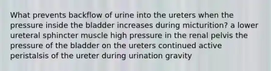 What prevents backflow of urine into the ureters when the pressure inside the bladder increases during micturition? a lower ureteral sphincter muscle high pressure in the renal pelvis the pressure of the bladder on the ureters continued active peristalsis of the ureter during urination gravity