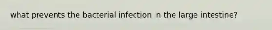 what prevents the bacterial infection in the large intestine?