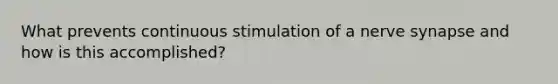 What prevents continuous stimulation of a nerve synapse and how is this accomplished?