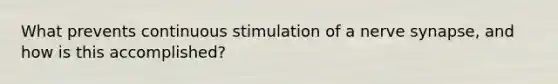 What prevents continuous stimulation of a nerve synapse, and how is this accomplished?