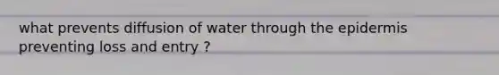 what prevents diffusion of water through the epidermis preventing loss and entry ?