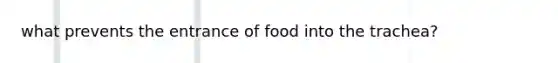 what prevents the entrance of food into the trachea?