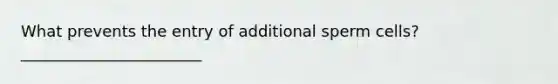 What prevents the entry of additional sperm cells? _______________________