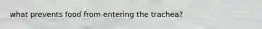 what prevents food from entering the trachea?