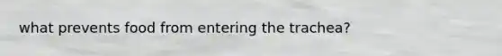 what prevents food from entering the trachea?