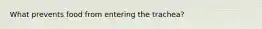 What prevents food from entering the trachea?