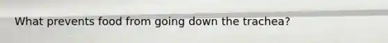 What prevents food from going down the trachea?
