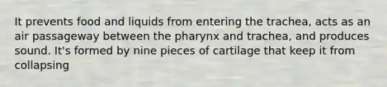 It prevents food and liquids from entering the trachea, acts as an air passageway between the pharynx and trachea, and produces sound. It's formed by nine pieces of cartilage that keep it from collapsing