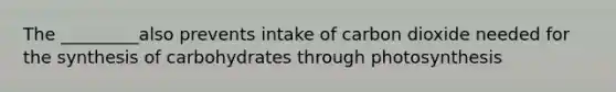 The _________also prevents intake of carbon dioxide needed for the synthesis of carbohydrates through photosynthesis