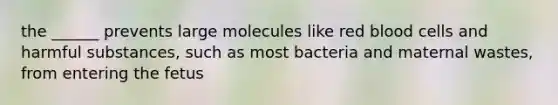 the ______ prevents large molecules like red blood cells and harmful substances, such as most bacteria and maternal wastes, from entering the fetus