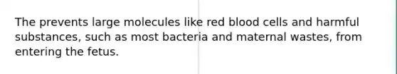 The prevents large molecules like red blood cells and harmful substances, such as most bacteria and maternal wastes, from entering the fetus.