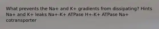 What prevents the Na+ and K+ gradients from dissipating? Hints Na+ and K+ leaks Na+-K+ ATPase H+-K+ ATPase Na+ cotransporter