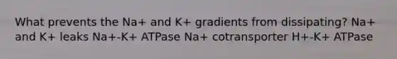 What prevents the Na+ and K+ gradients from dissipating? Na+ and K+ leaks Na+-K+ ATPase Na+ cotransporter H+-K+ ATPase