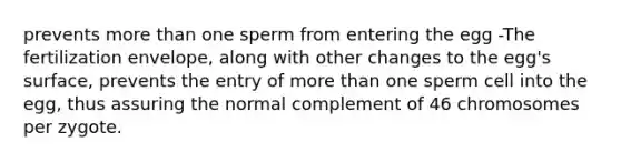 prevents <a href='https://www.questionai.com/knowledge/keWHlEPx42-more-than' class='anchor-knowledge'>more than</a> one sperm from entering the egg -The fertilization envelope, along with other changes to the egg's surface, prevents the entry of more than one sperm cell into the egg, thus assuring the normal complement of 46 chromosomes per zygote.