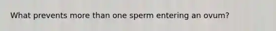 What prevents <a href='https://www.questionai.com/knowledge/keWHlEPx42-more-than' class='anchor-knowledge'>more than</a> one sperm entering an ovum?