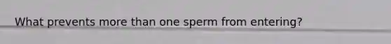 What prevents more than one sperm from entering?