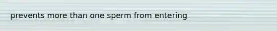 prevents <a href='https://www.questionai.com/knowledge/keWHlEPx42-more-than' class='anchor-knowledge'>more than</a> one sperm from entering