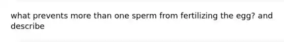 what prevents more than one sperm from fertilizing the egg? and describe