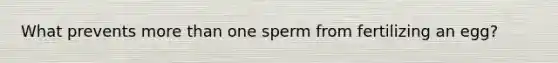 What prevents <a href='https://www.questionai.com/knowledge/keWHlEPx42-more-than' class='anchor-knowledge'>more than</a> one sperm from fertilizing an egg?