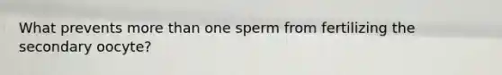 What prevents <a href='https://www.questionai.com/knowledge/keWHlEPx42-more-than' class='anchor-knowledge'>more than</a> one sperm from fertilizing the secondary oocyte?