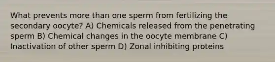 What prevents <a href='https://www.questionai.com/knowledge/keWHlEPx42-more-than' class='anchor-knowledge'>more than</a> one sperm from fertilizing the secondary oocyte? A) Chemicals released from the penetrating sperm B) Chemical changes in the oocyte membrane C) Inactivation of other sperm D) Zonal inhibiting proteins