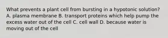 What prevents a plant cell from bursting in a hypotonic solution? A. plasma membrane B. transport proteins which help pump the excess water out of the cell C. cell wall D. because water is moving out of the cell