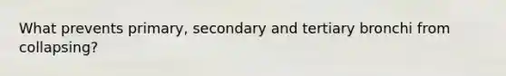 What prevents primary, secondary and tertiary bronchi from collapsing?