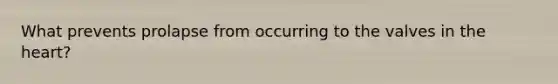 What prevents prolapse from occurring to the valves in <a href='https://www.questionai.com/knowledge/kya8ocqc6o-the-heart' class='anchor-knowledge'>the heart</a>?