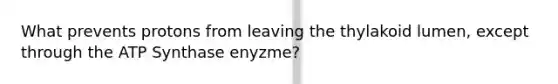 What prevents protons from leaving the thylakoid lumen, except through the ATP Synthase enyzme?