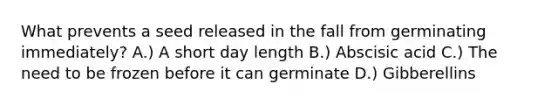 What prevents a seed released in the fall from germinating immediately? A.) A short day length B.) Abscisic acid C.) The need to be frozen before it can germinate D.) Gibberellins