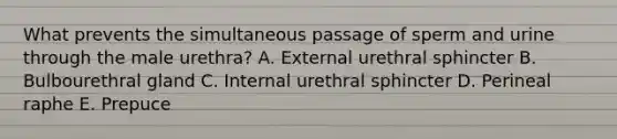 What prevents the simultaneous passage of sperm and urine through the male urethra? A. External urethral sphincter B. Bulbourethral gland C. Internal urethral sphincter D. Perineal raphe E. Prepuce