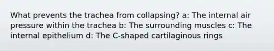 What prevents the trachea from collapsing? a: The internal air pressure within the trachea b: The surrounding muscles c: The internal epithelium d: The C-shaped cartilaginous rings