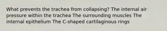 What prevents the trachea from collapsing? The internal air pressure within the trachea The surrounding muscles The internal epithelium The C-shaped cartilaginous rings