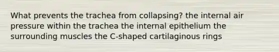 What prevents the trachea from collapsing? the internal air pressure within the trachea the internal epithelium the surrounding muscles the C-shaped cartilaginous rings