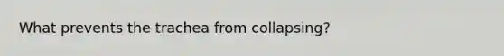 What prevents the trachea from collapsing?