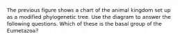 The previous figure shows a chart of the animal kingdom set up as a modified phylogenetic tree. Use the diagram to answer the following questions. Which of these is the basal group of the Eumetazoa?