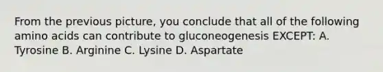 From the previous picture, you conclude that all of the following amino acids can contribute to gluconeogenesis EXCEPT: A. Tyrosine B. Arginine C. Lysine D. Aspartate