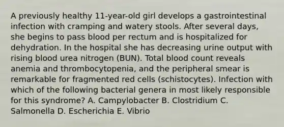 A previously healthy 11-year-old girl develops a gastrointestinal infection with cramping and watery stools. After several days, she begins to pass blood per rectum and is hospitalized for dehydration. In the hospital she has decreasing urine output with rising blood urea nitrogen (BUN). Total blood count reveals anemia and thrombocytopenia, and the peripheral smear is remarkable for fragmented red cells (schistocytes). Infection with which of the following bacterial genera in most likely responsible for this syndrome? A. Campylobacter B. Clostridium C. Salmonella D. Escherichia E. Vibrio