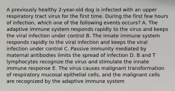 A previously healthy 2-year-old dog is infected with an upper respiratory tract virus for the first time. During the first few hours of infection, which one of the following events occurs? A. The adaptive immune system responds rapidly to the virus and keeps the viral infection under control B. The innate immune system responds rapidly to the viral infection and keeps the viral infection under control C. Passive immunity mediated by maternal antibodies limits the spread of infection D. B and T lymphocytes recognize the virus and stimulate the innate immune response E. The virus causes malignant transformation of respiratory mucosal epithelial cells, and the malignant cells are recognized by the adaptive immune system