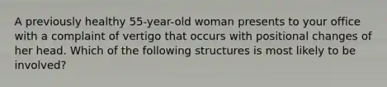 A previously healthy 55-year-old woman presents to your office with a complaint of vertigo that occurs with positional changes of her head. Which of the following structures is most likely to be involved?