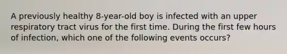 A previously healthy 8-year-old boy is infected with an upper respiratory tract virus for the first time. During the first few hours of infection, which one of the following events occurs?