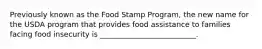 Previously known as the Food Stamp Program, the new name for the USDA program that provides food assistance to families facing food insecurity is __________________________.