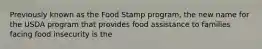 Previously known as the Food Stamp program, the new name for the USDA program that provides food assistance to families facing food insecurity is the